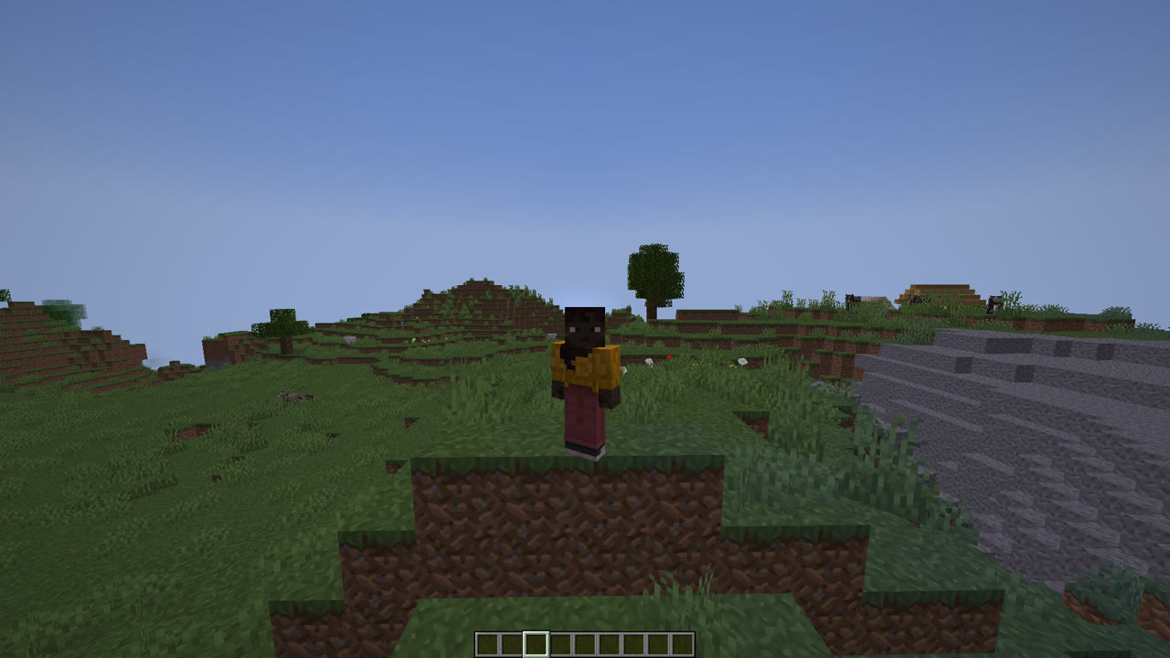 Minecraft third person visual